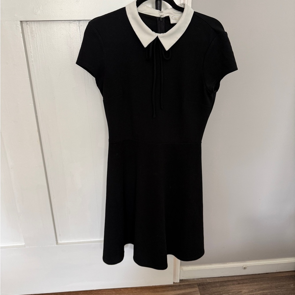 Pappagallo Black Dress with White Collar Wednesday Addams costumes 36